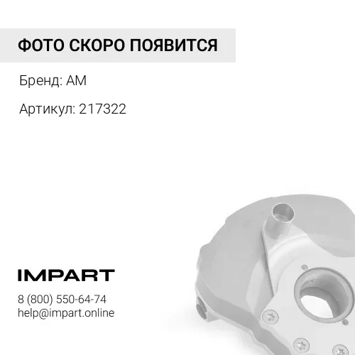 217322 Демпфер вибрации передний
