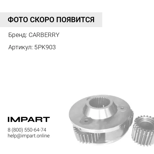 5PK903 Ремень поликлиновой CARBERRY
