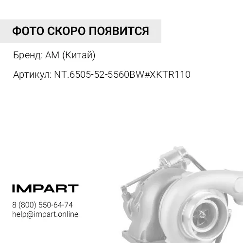 NT.6505-52-5560BW#XKTR110 NT.6505-52-5560BW#XKTR110 Турбокомпрессор AM (Китай)