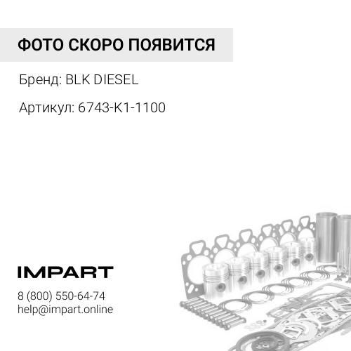 6743-K1-1100 Ремкомплект