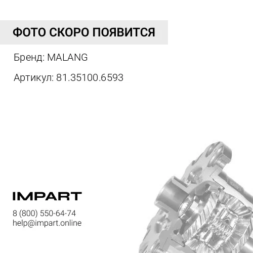 81.35100.6593 МОД дифференциал в сборе F3000 A7 в сборе AZ9981320136 Malang MALANG
