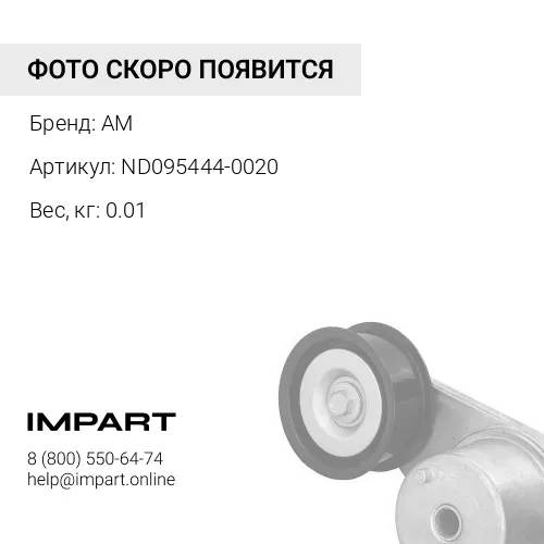 ND095444-0020 Кольцо
