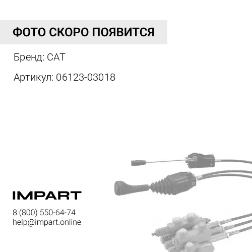 06123-03018 Подшипник роликовый CAT