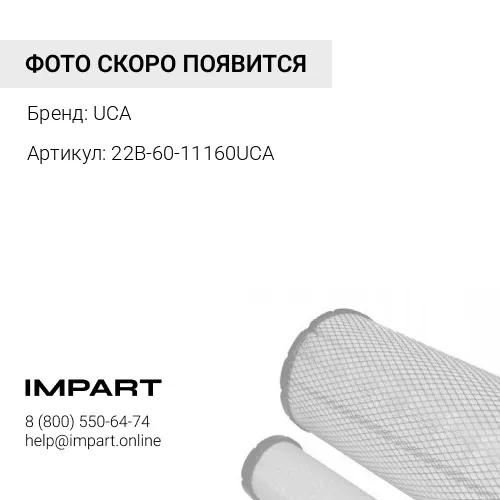 22B-60-11160UCA СЕТЧАТЫЙ ФИЛЬТР UCA