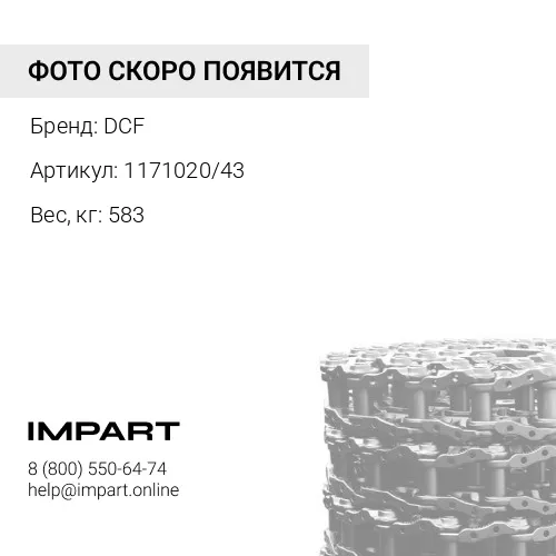 1171020/43 Цепь 203.2 mm 43 зв. D6G [3P1120] D6D DCF