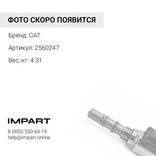 2560247 КЛАПАН CAT