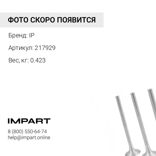 217929 Штанга толкателя IP