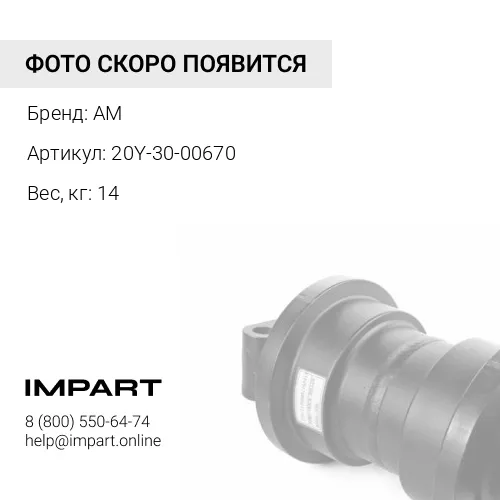 20Y-30-00670 Поддерживающий каток AM