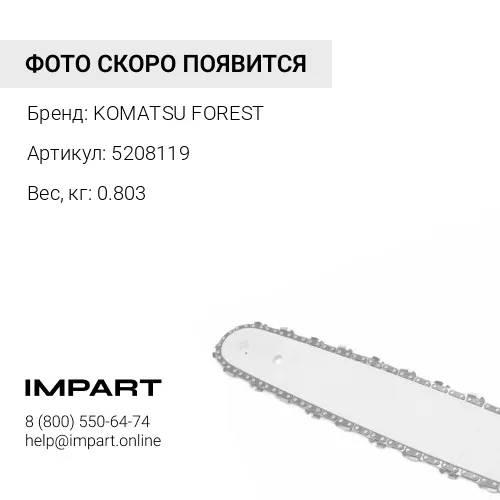 5208119 ЦЕПЬ