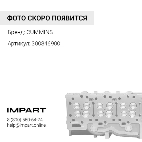 300846900 Пробка