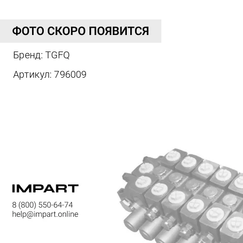796009 0796009-TG(0796009):Зубчатая передача TGFQ