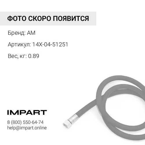 14X-04-51251 РВД AM