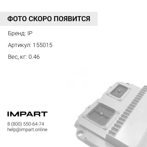 155015 Щуп измерения уровня масла IP