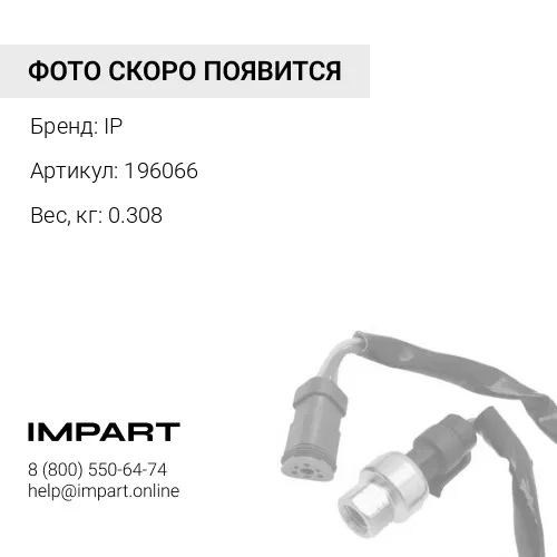 196066 Соленоид IP