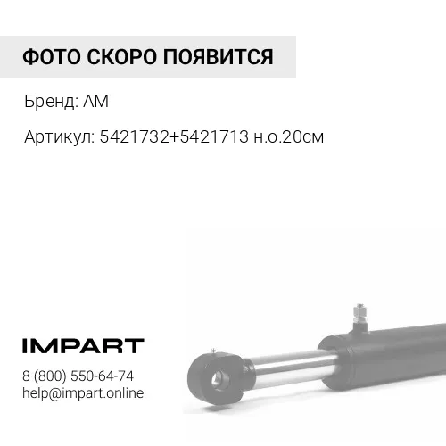 5421732+5421713 н.о.20см Комплект направляющих телескопической стрелы MST542/MST544 5421732+5421713