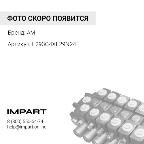 F293G4XE29N24 Гидронасос главный
