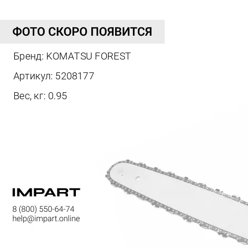5208177 ЦЕПЬ