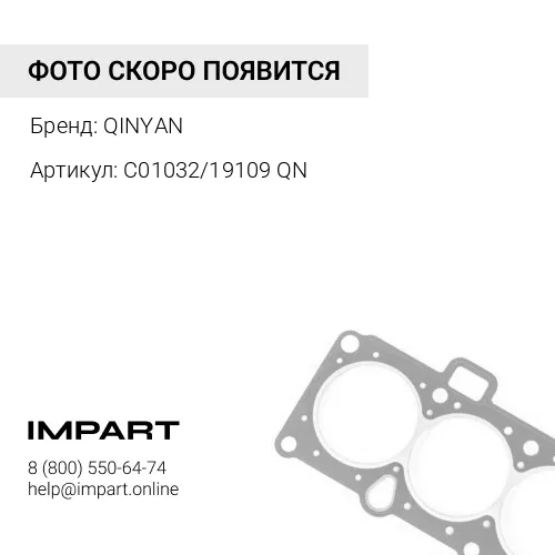 C01032/19109 QN Сальник 95х114х18 задней крышки КПП FL (к-кт) QINYAN (C01032/19109)