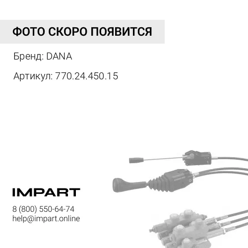 770.24.450.15 Наконечник 770.24.450.15 DANA DANA