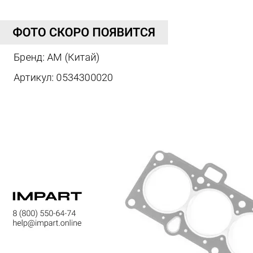 0534300020 Сальник вала переключения передач КПП VOLGABUS 5270.0H (Ситиритм 10 DLe) (крышка вала пер AM (Китай)