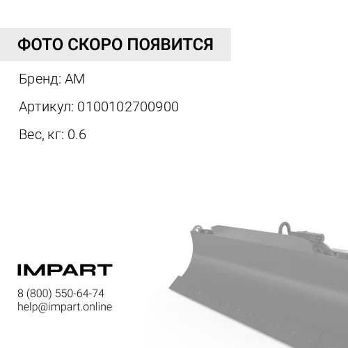 0100102700900 Болт