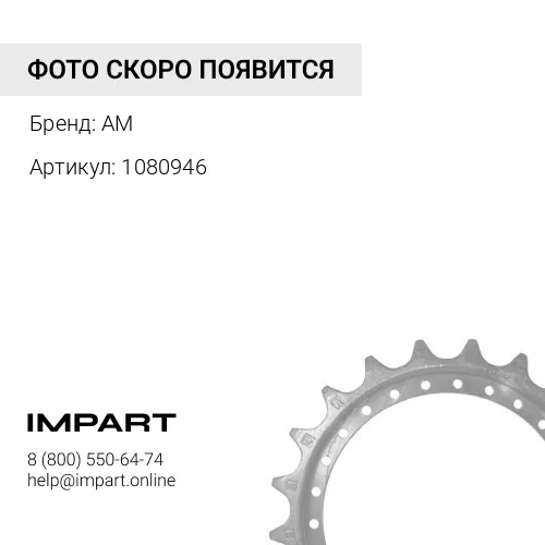 1080946 группа сегментов
