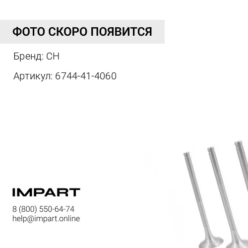 6744-41-4060 Клапан выпускной CH
