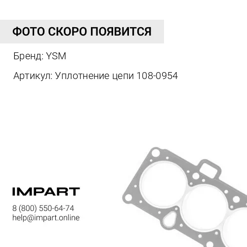 TW171C6L-7/3 Уплотнение YSM