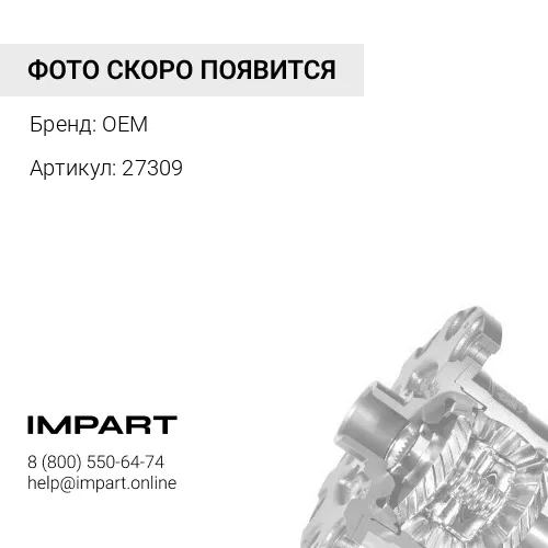 27309 Подшипник дифференциала OEM
