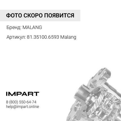 81.35100.6593 Malang Дифференциал межосевой F3000/A7/(T5G нужна муфта) в сборе (AZ9981320136/81.3510 MALANG