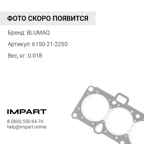 6150-21-2250 Уплотнение BLUMAQ