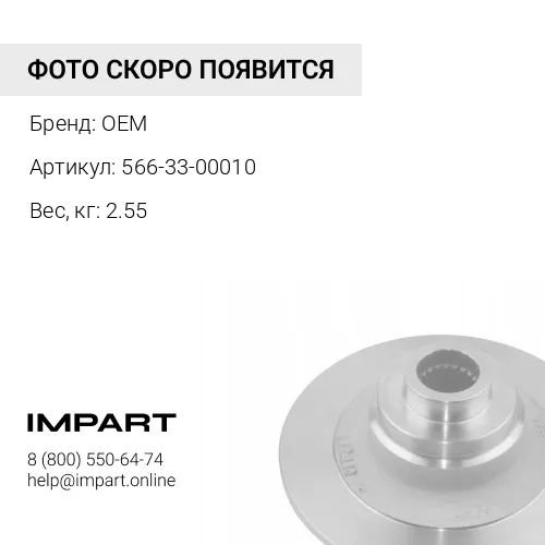 566-33-00010 Кольцо OEM