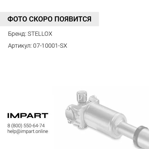 07-10001-SX муфта кардана!\ BMW E12/23/24/28/30/32/34/36/38/39/46/53/87 74>