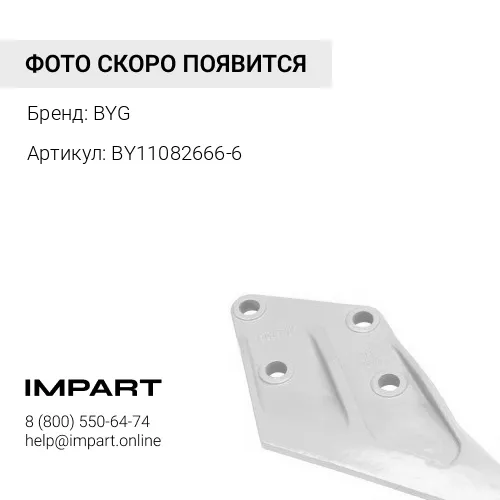 BY11082666-6 Кромка BYG