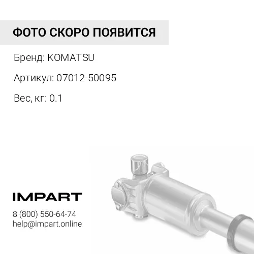 07012-50095 САЛЬНИК