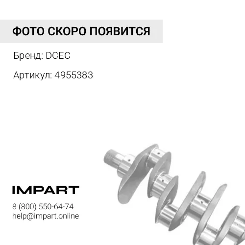 4955383 Сальник коленвала передний DCEC