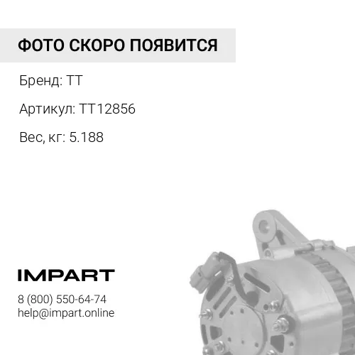 TT12856 Генератор