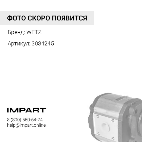 3034245 Насос шестеренчатый WETZ 3034245 WETZ