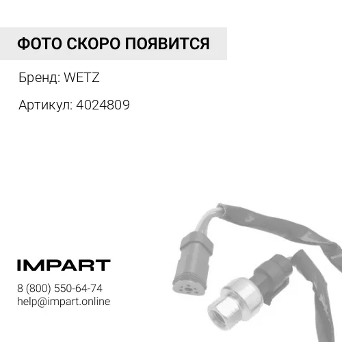 4024809 Соленоид топливный WETZ 4024809 WETZ