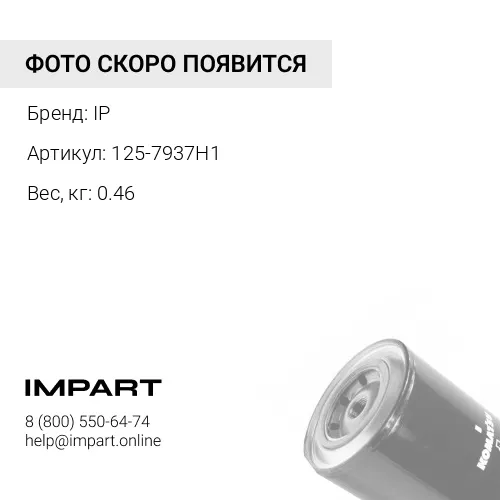 125-7937H1Фильтр антикоррозийный IP