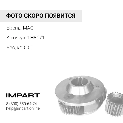 1H8171 кольцо MAG