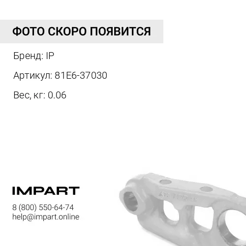 81E6-37030-US ГАЙКА IP