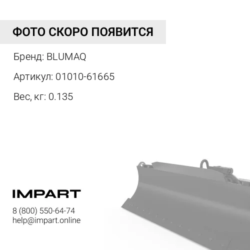 01010-61665 Болт BLUMAQ