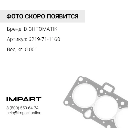 6219-71-1160 О-кольцо