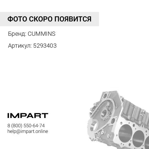 5293403 Блок цилиндров QSL,ISL