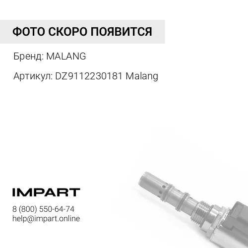 DZ9112230181 Malang ПГУ D=102 SHAANXI нового образца (С КЛАПАНОМ) (DZ9112230181) Malang MALANG