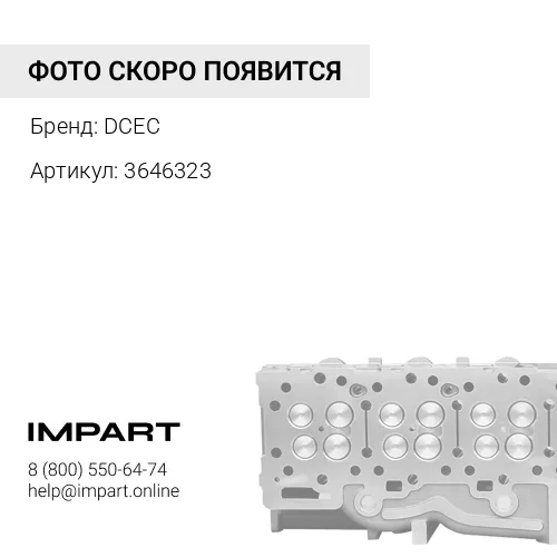 3646323 Головка блока цилиндров, 3646323/3081064 бренд WETZ DCEC