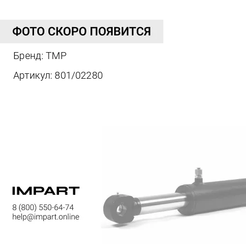 801/02280 ПАЛЕЦ 801/02280 TMP