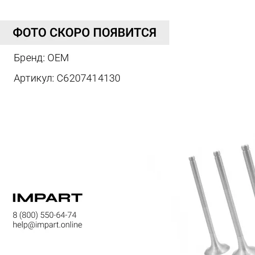 C6207414130 Клапан впускной B3.3