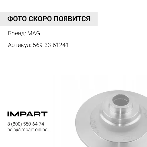 569-33-61242-MAG Фрикцион MAG